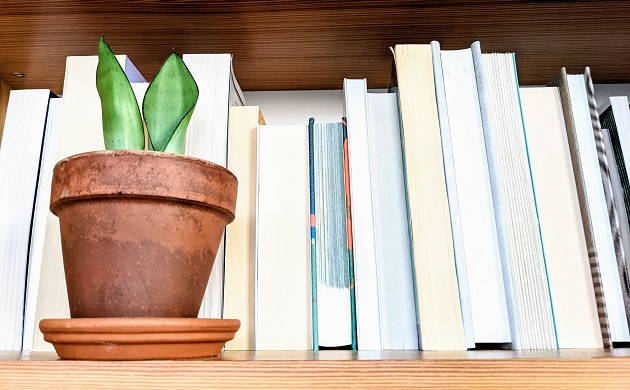 A potted plant sitting on a shelf in front of books.